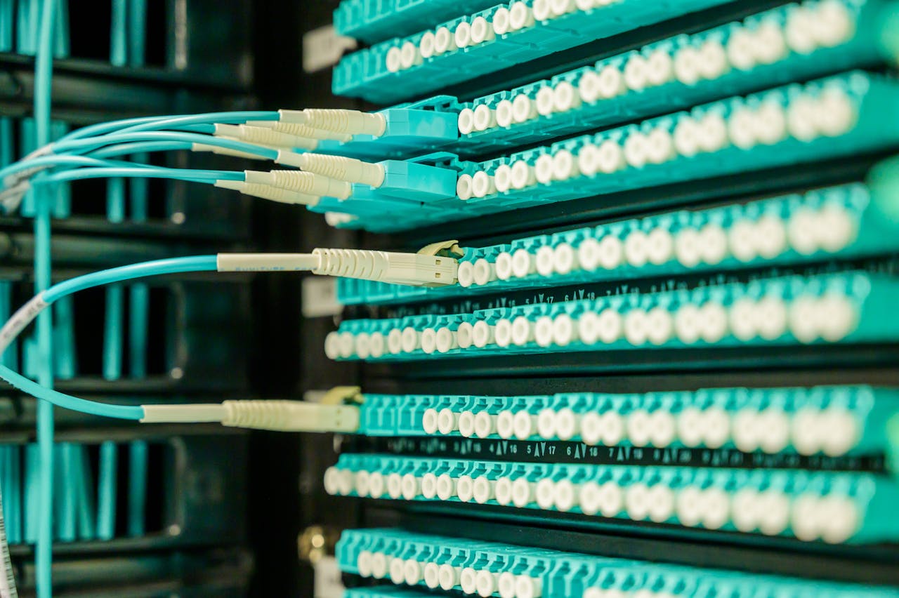 Services Networking cables plugged into a patch panel, showcasing data center connectivity.