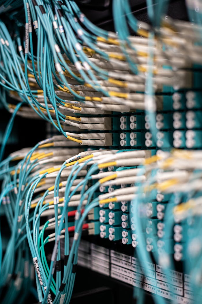 Services Rows of blue cables and wires plugged into server patch panel located in modern data center framework